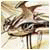 Urbapsereak's Avatar