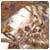 ValeryTew's Avatar