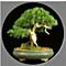 J_L's Avatar