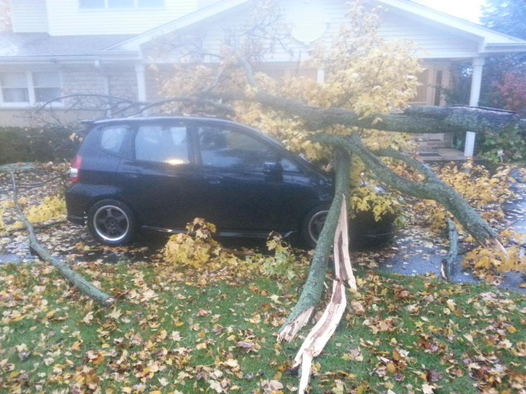 Name:  20131106_064731_zpse7c7655d.jpg
Views: 127
Size:  126.7 KB