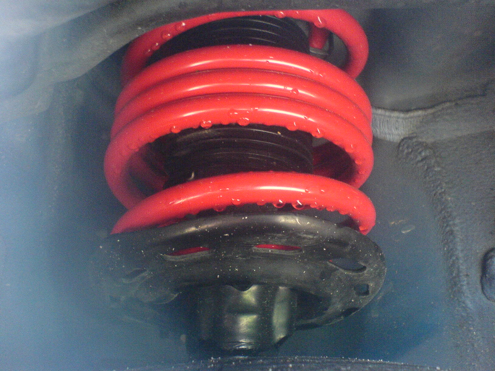 Name:  DSC00568.jpg
Views: 324
Size:  293.9 KB