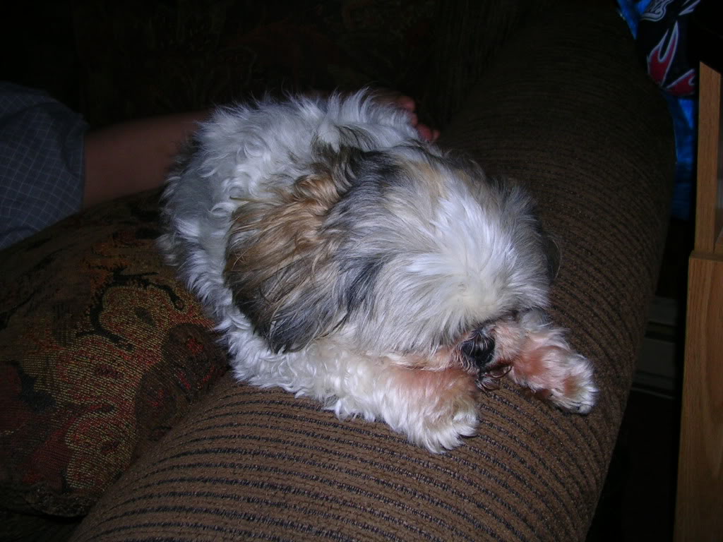 Name:  DSCN2103.jpg
Views: 156
Size:  168.5 KB