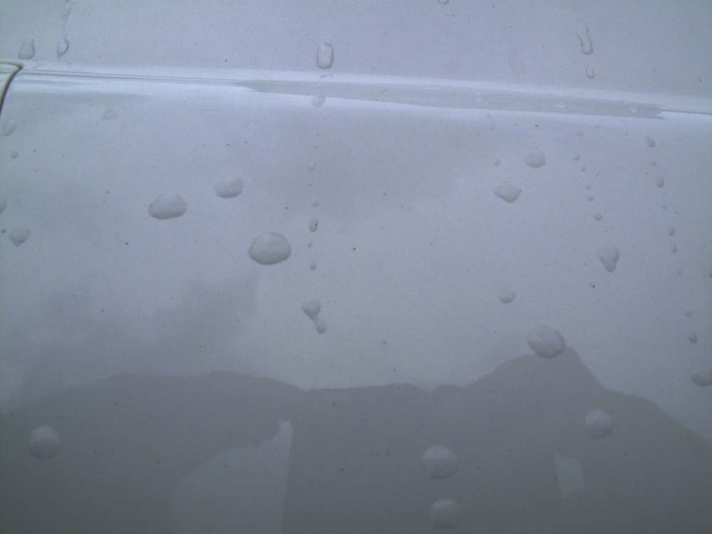 Name:  _IMG_2687fitfreak.jpg
Views: 107
Size:  20.5 KB