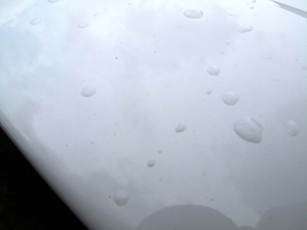 Name:  _fitfreak.jpg
Views: 99
Size:  18.0 KB