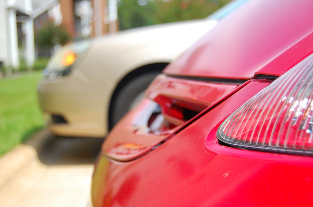 Name:  DSC_0003-3-1.jpg
Views: 113
Size:  61.8 KB