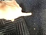 2007 Honda Fit Leaks (Rear passengers, Spare Tire)-r0533jpg.jpg