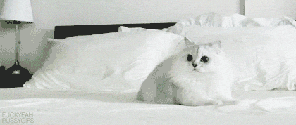 Name:  iwbpS.gif
Views: 29
Size:  488.1 KB