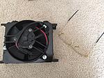 Project Setrab Oil Cooler plus SPAL Radiator Fan-80-img_1996_50246194e4d24fd8b122e0f806d4a65a3f388472.jpg
