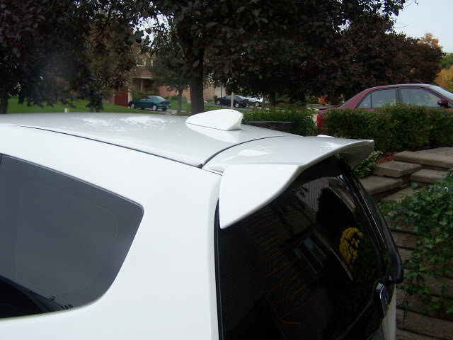Name:  004-10.jpg
Views: 1483
Size:  54.7 KB