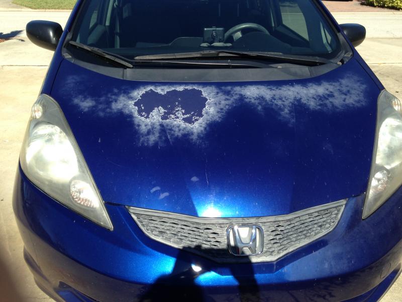 Paint/Clear Coat fading on blue '09 Fit - Unofficial Honda FIT Forums