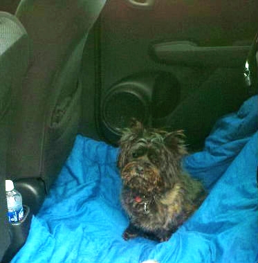 Name:  Plumfits-1-1.jpg
Views: 1137
Size:  83.7 KB