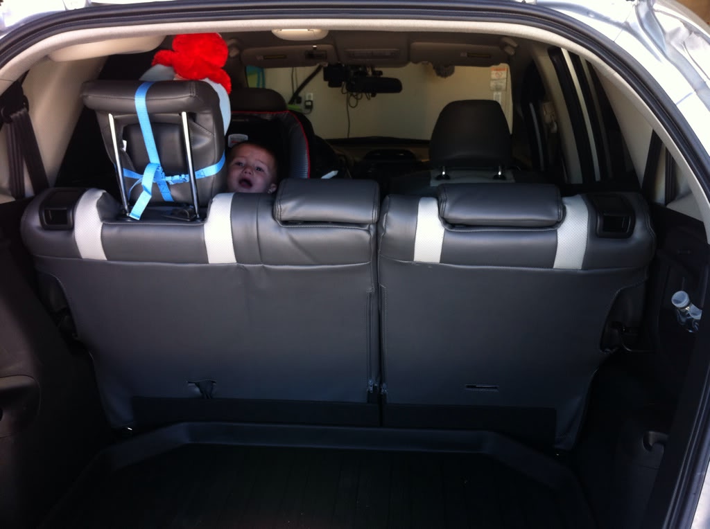 Name:  a00cc650.jpg
Views: 257
Size:  77.1 KB