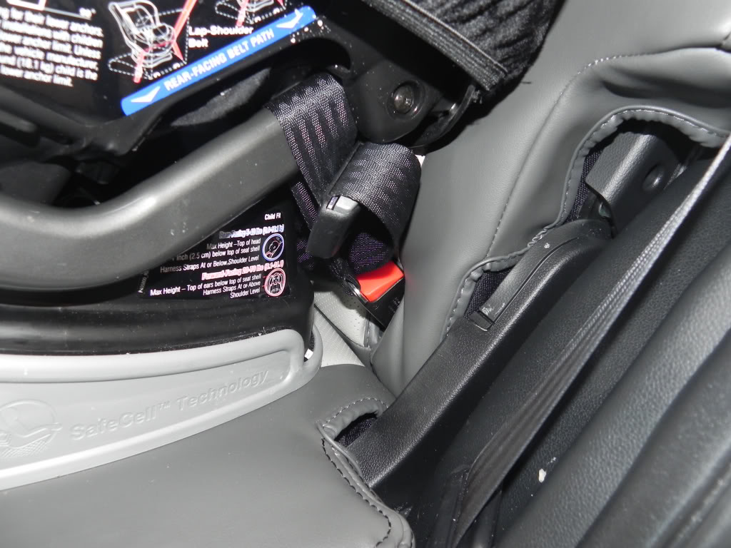 Name:  b73e9b02.jpg
Views: 244
Size:  127.4 KB