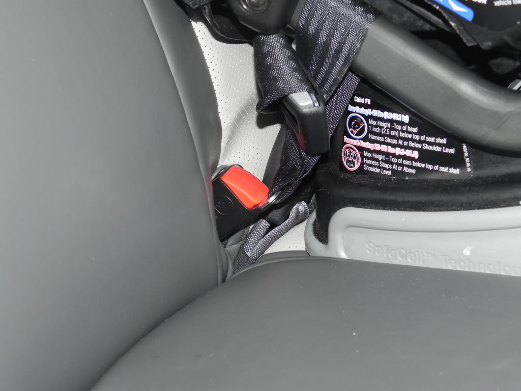 Name:  bcd5a227.jpg
Views: 226
Size:  89.9 KB