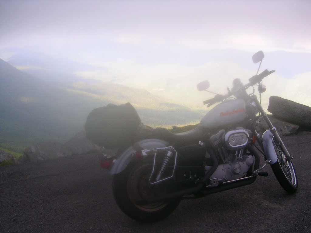 Name:  Startingtoseethelight.jpg
Views: 337
Size:  62.7 KB
