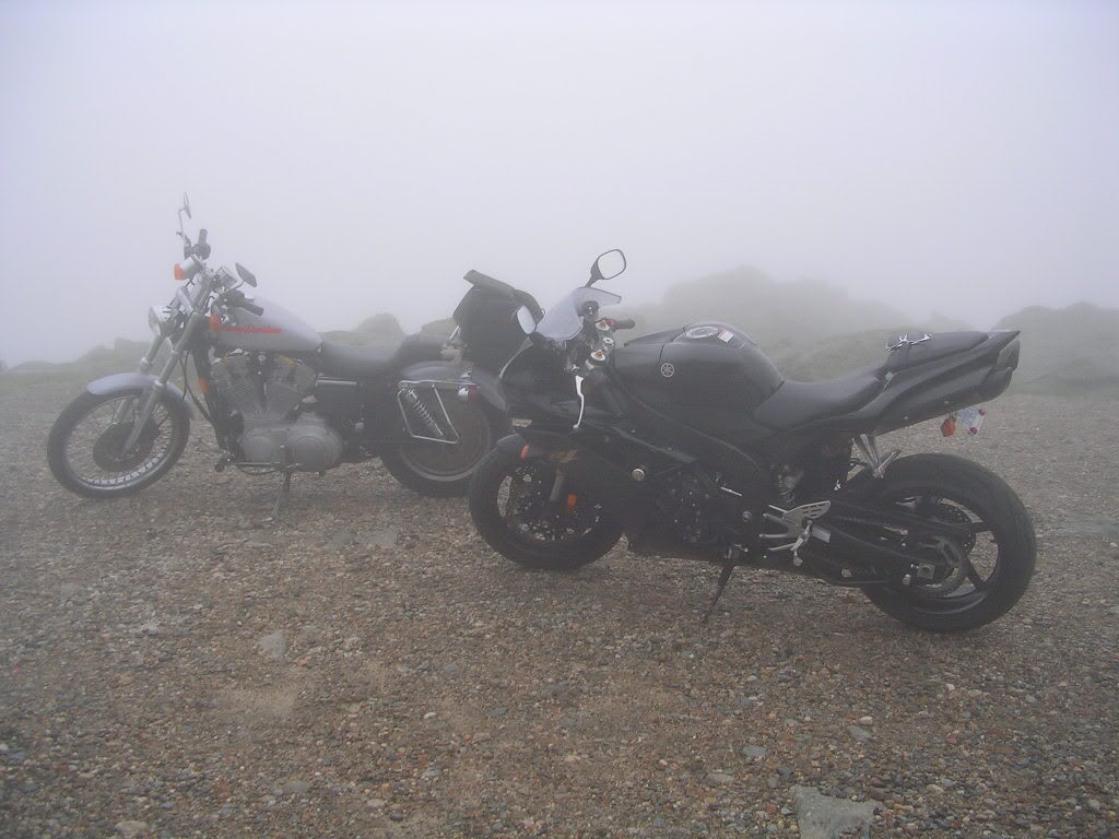 Name:  Werideours.jpg
Views: 334
Size:  106.1 KB