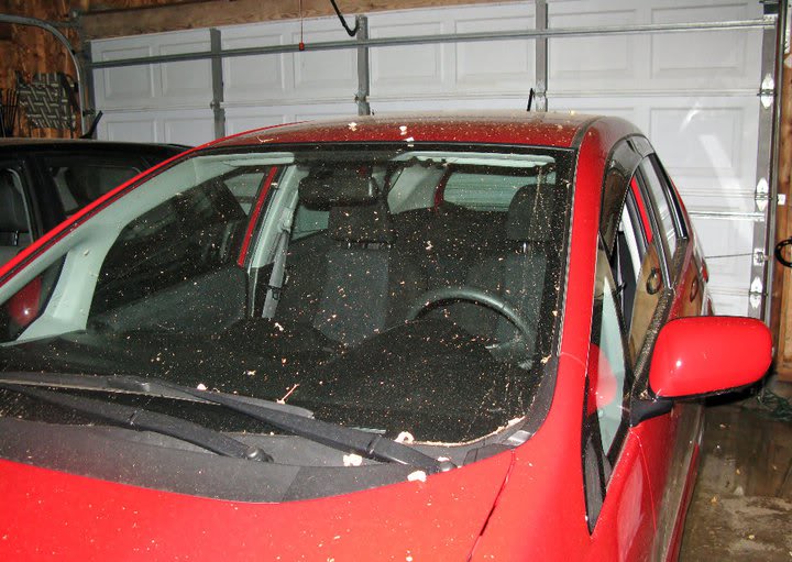 Name:  208093_716201579843_71209095_37799834_2354618_n.jpg
Views: 134
Size:  81.2 KB