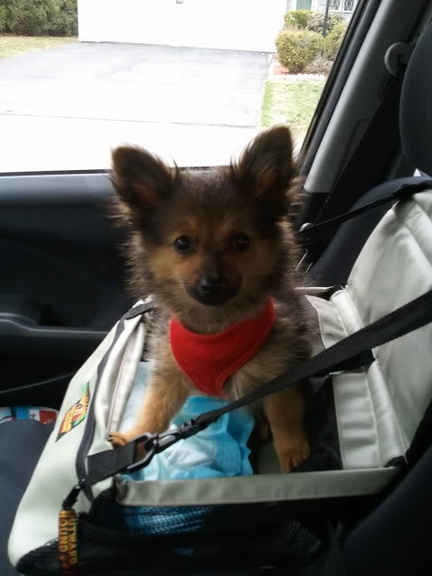 Name:  Goingforariide3.jpg
Views: 210
Size:  45.2 KB