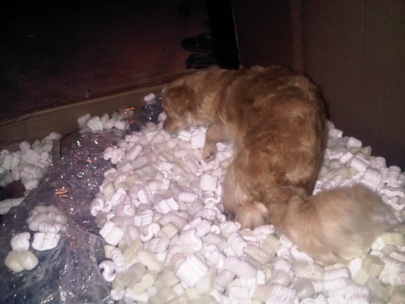 Name:  IMG00202-20110408-2101.jpg
Views: 234
Size:  58.6 KB