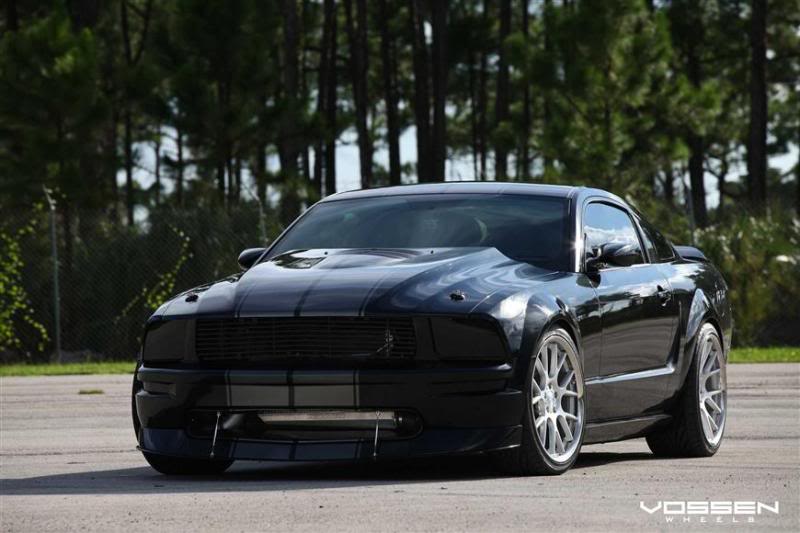 Name:  vossen1.jpg
Views: 74
Size:  56.3 KB
