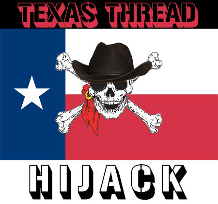 Name:  txhijack.jpg
Views: 57
Size:  36.4 KB