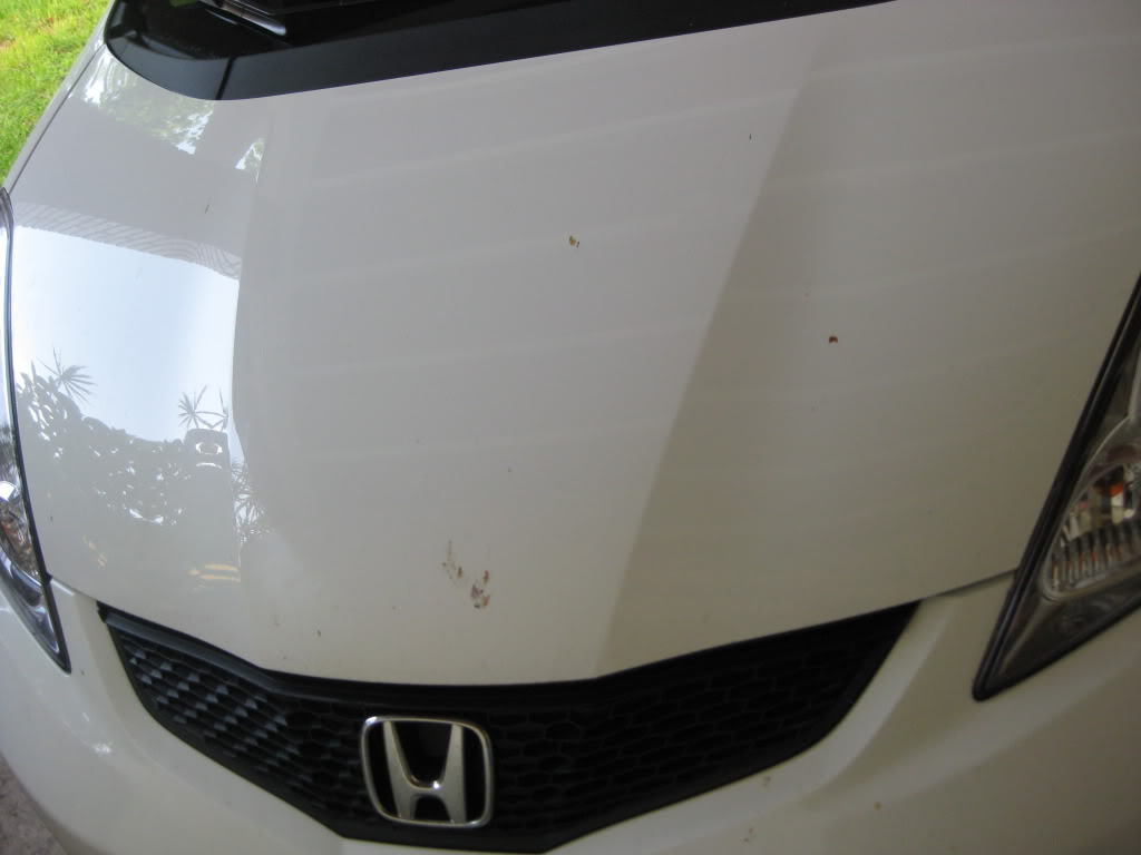 Name:  IMG_1589.jpg
Views: 68
Size:  57.6 KB