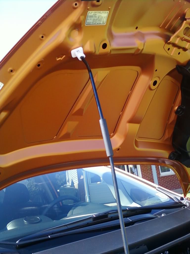 Name:  img1277734259223.jpg
Views: 148
Size:  83.5 KB