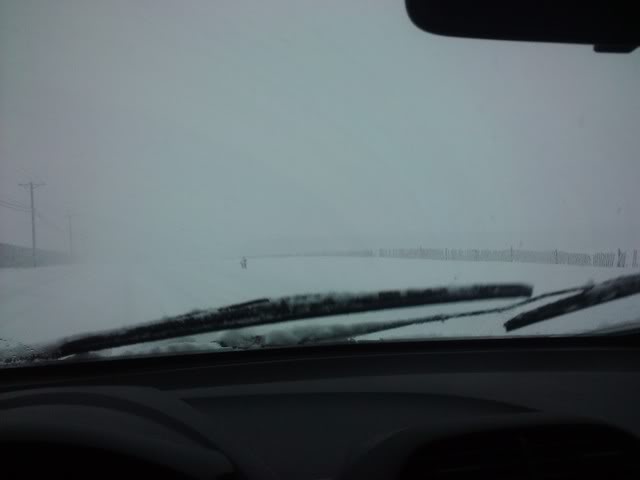 Name:  2010-02-10160720.jpg
Views: 355
Size:  13.6 KB