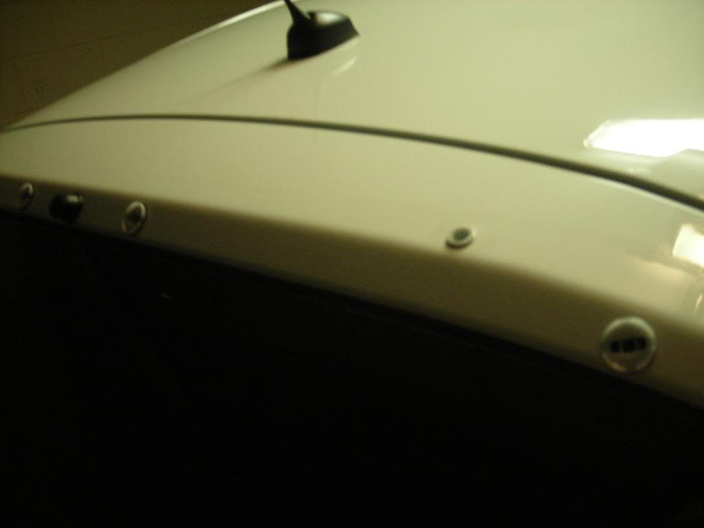 Name: wingless001.jpg
Views: 2612
Size: 29.5 KB