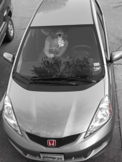 Name:  IMG_0346.jpg
Views: 34
Size:  20.2 KB