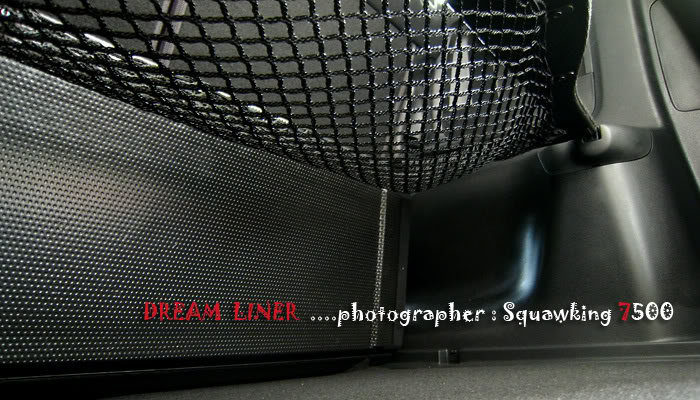 Name:  DreamLiner009.jpg
Views: 364
Size:  97.6 KB