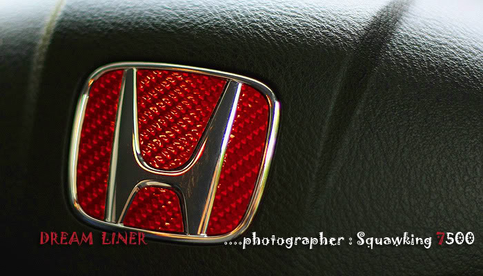 Name:  DreamLiner007.jpg
Views: 345
Size:  79.9 KB