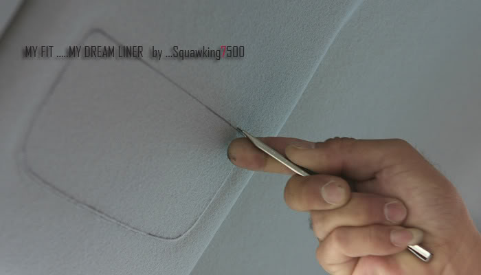 Name:  DreamLiner073.jpg
Views: 326
Size:  25.0 KB