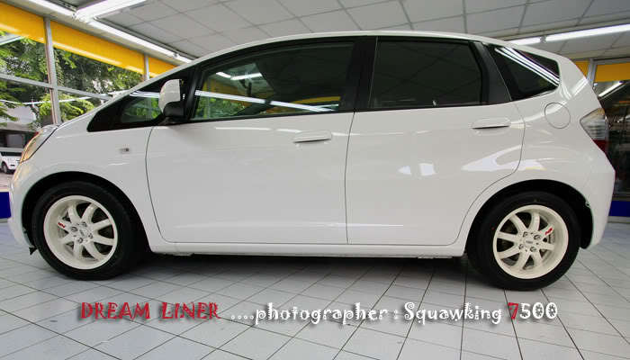 Name:  DreamLiner002.jpg
Views: 367
Size:  59.6 KB