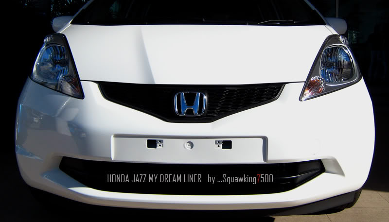 Name:  DreamLiner084.jpg
Views: 388
Size:  46.1 KB