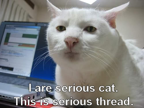 Name:  SeriousCat.jpg
Views: 58
Size:  33.7 KB