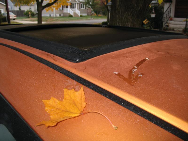 Name:  IMG_2190.jpg
Views: 3257
Size:  58.4 KB