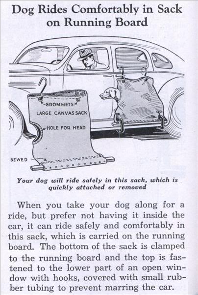 Name:  lrg_dog_car_sack.jpg
Views: 177
Size:  54.9 KB