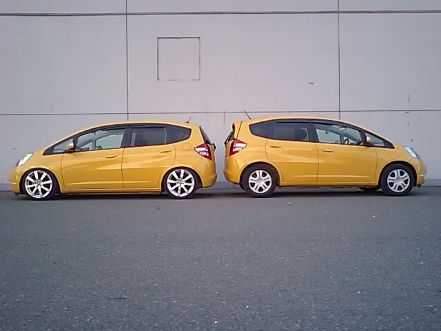 Name: YellowFit3.jpg
Views: 86
Size: 34.7 KB