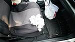 AC Button-80-2011_fit_mouse_nest_2015_06_10_6f7123896a3a9dd645e339adc0e5f5b860657fa4.jpg