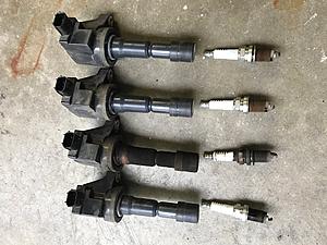 2010 Spark Plug came out-img_0654.jpg