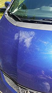 Paint/Clear Coat fading on blue '09 Fit-20180616_141804.jpg