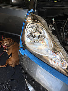 What did you do to your GE fit today?-img_9470.jpg