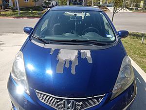 Use 2007 hood to replace 2010 hood?-20190321_150504_hdr.jpg
