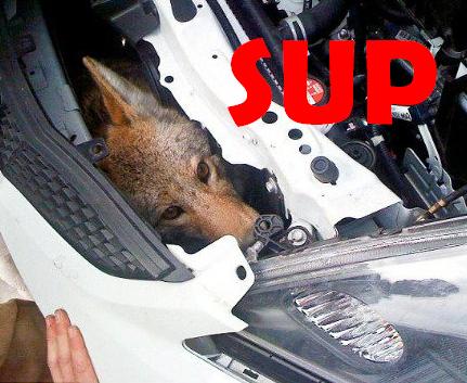 Name:  z8y5m.jpg
Views: 24
Size:  35.9 KB