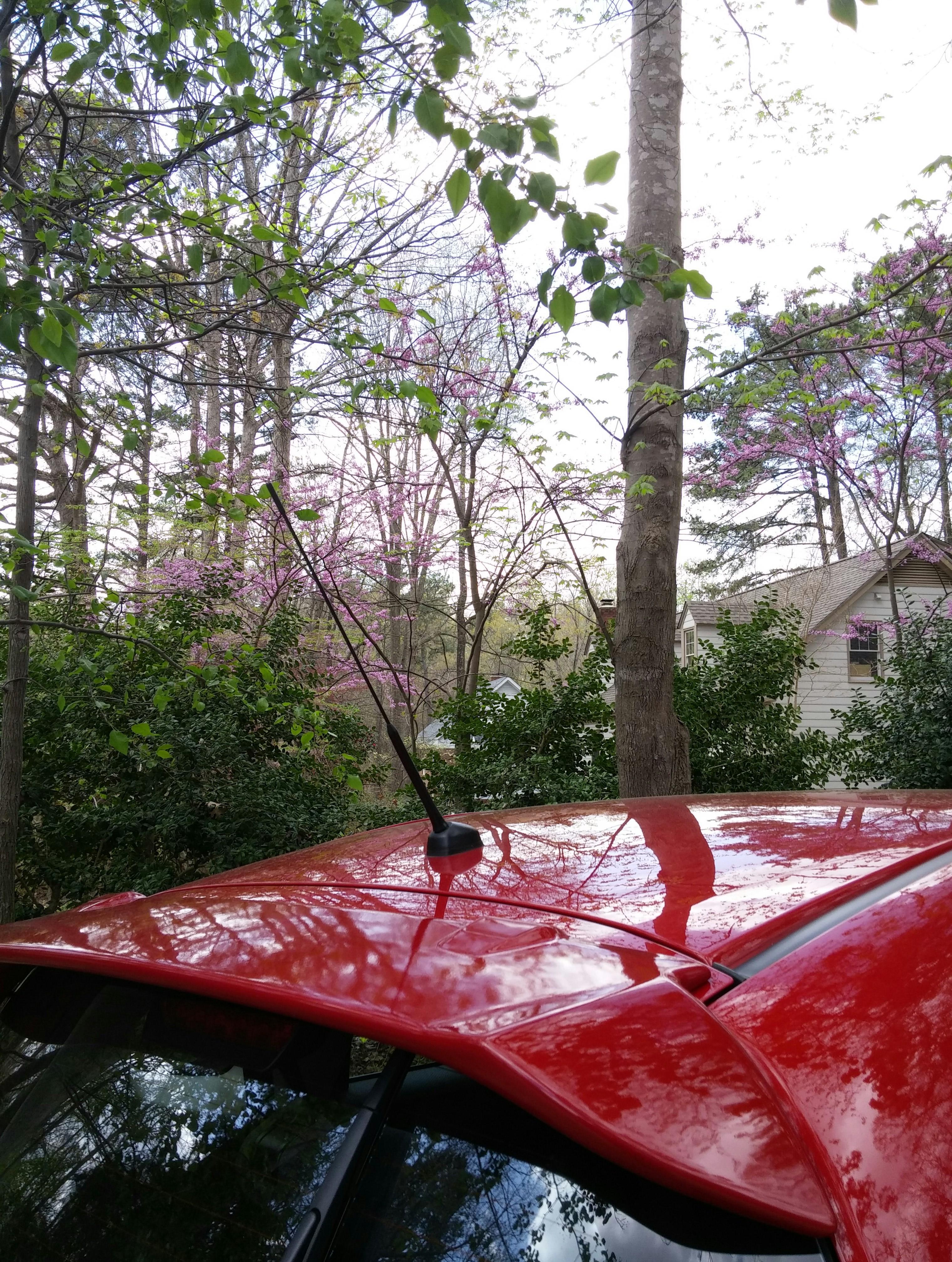 Name:  51tn1oA.jpg
Views: 70
Size:  2.09 MB