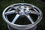 Zeebrah's Fit Sport: Eleanor.-21897325465_46368ec3b1_c.jpg