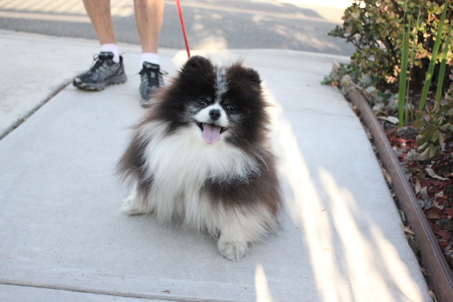 Name: IMG_4442_zpsdd3ba475.jpg
Views: 1301
Size: 250.3 KB
