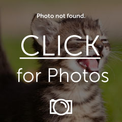 Name: 02cb620d.jpg
Views: 185
Size: 14.0 KB