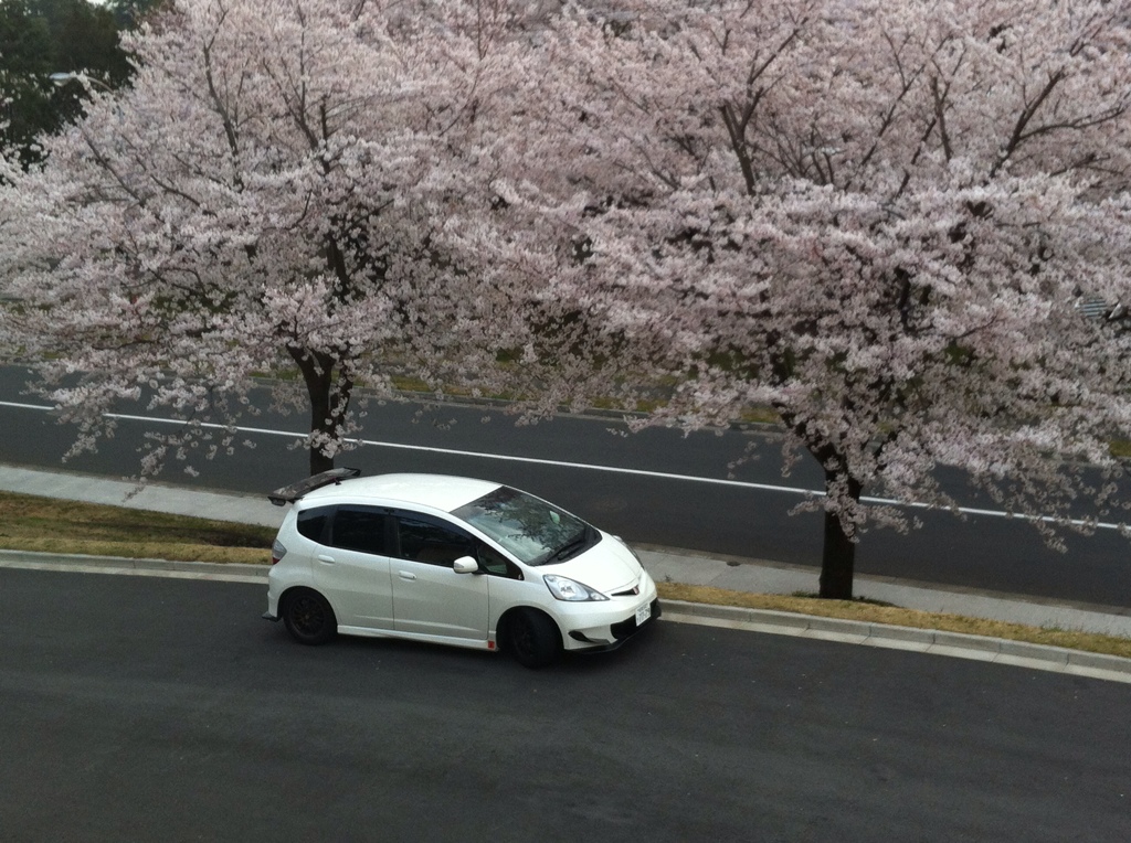 Name: 73d999d6.jpg
Views: 248
Size: 371.8 KB